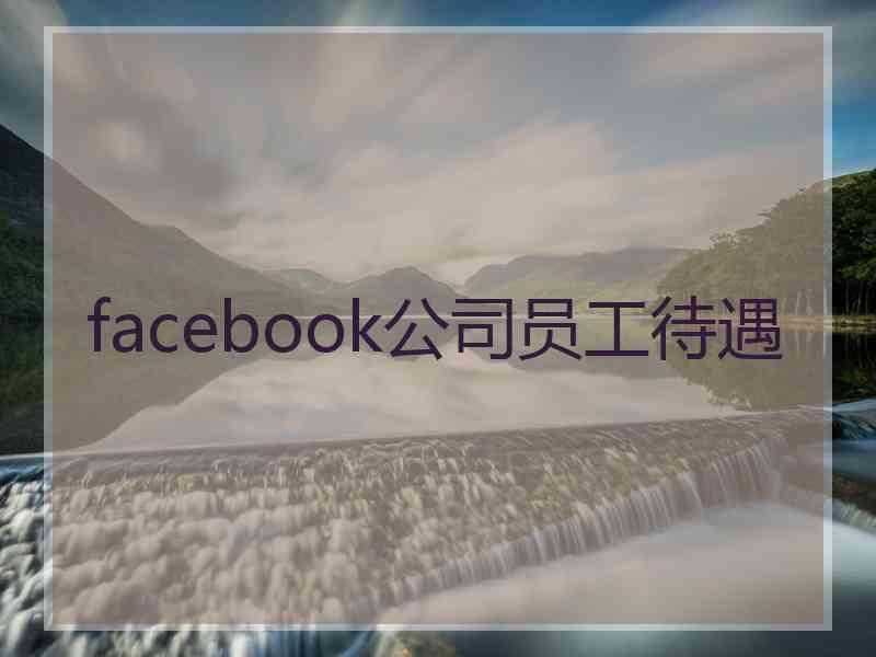 facebook公司员工待遇