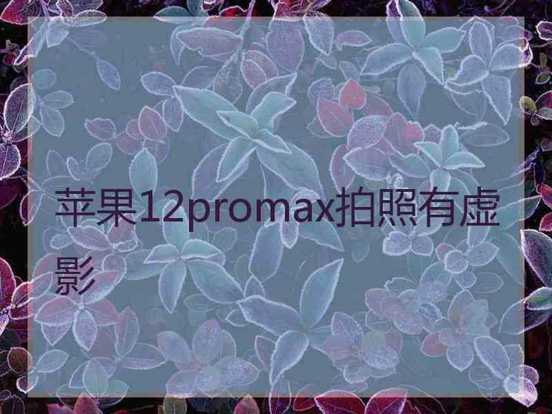 苹果12promax拍照有虚影