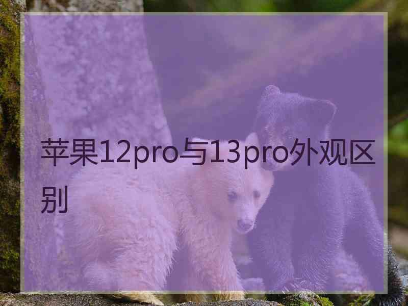 苹果12pro与13pro外观区别