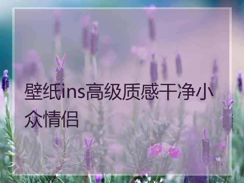 壁纸ins高级质感干净小众情侣