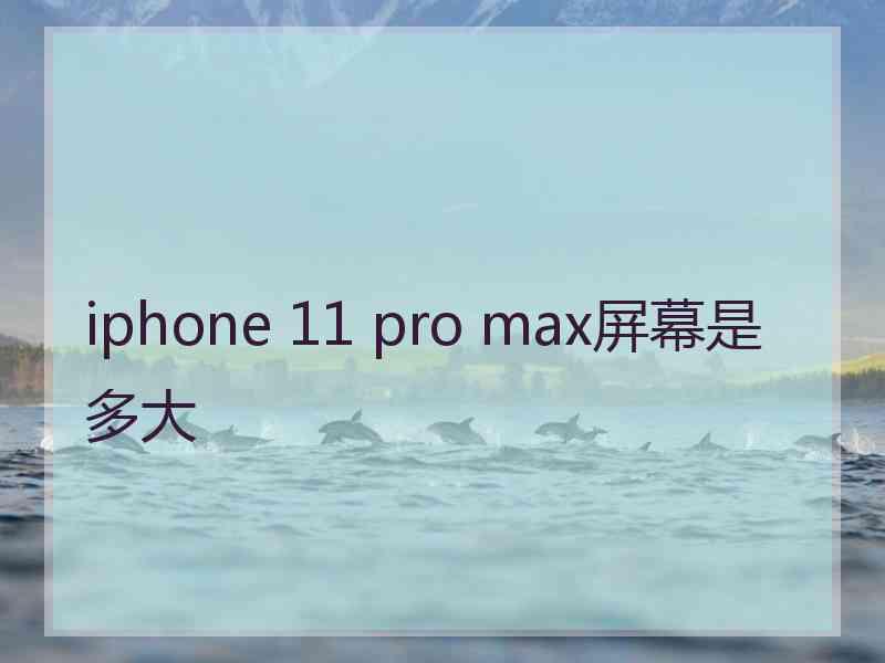 iphone 11 pro max屏幕是多大