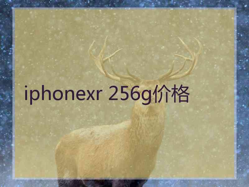 iphonexr 256g价格