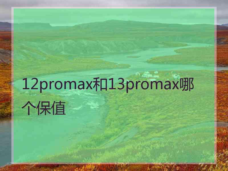 12promax和13promax哪个保值