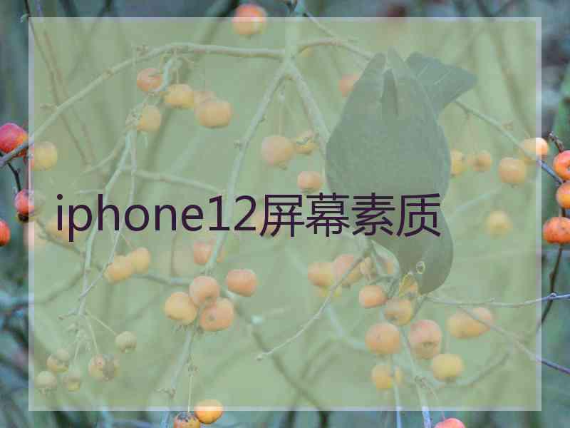 iphone12屏幕素质