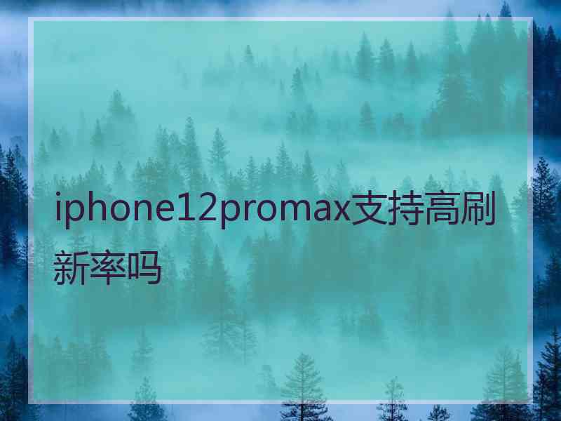 iphone12promax支持高刷新率吗