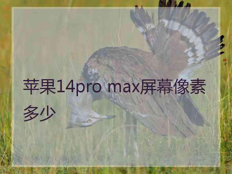 苹果14pro max屏幕像素多少