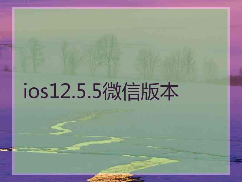 ios12.5.5微信版本