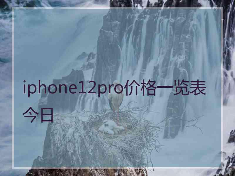 iphone12pro价格一览表今日