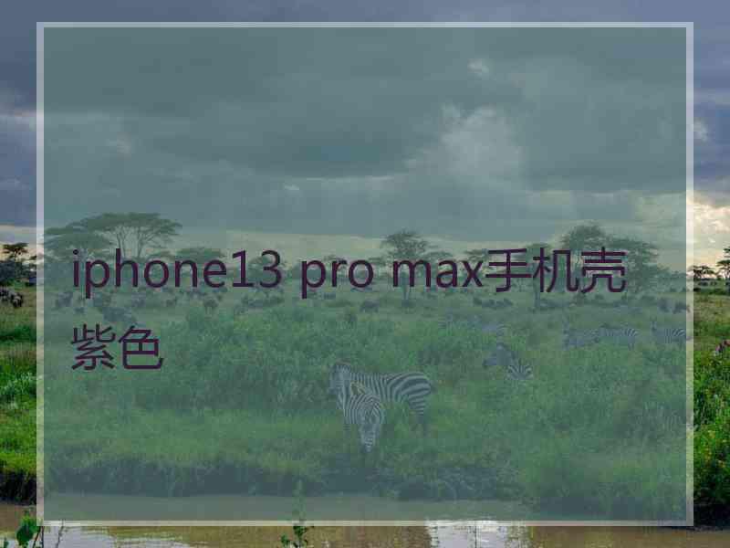 iphone13 pro max手机壳紫色