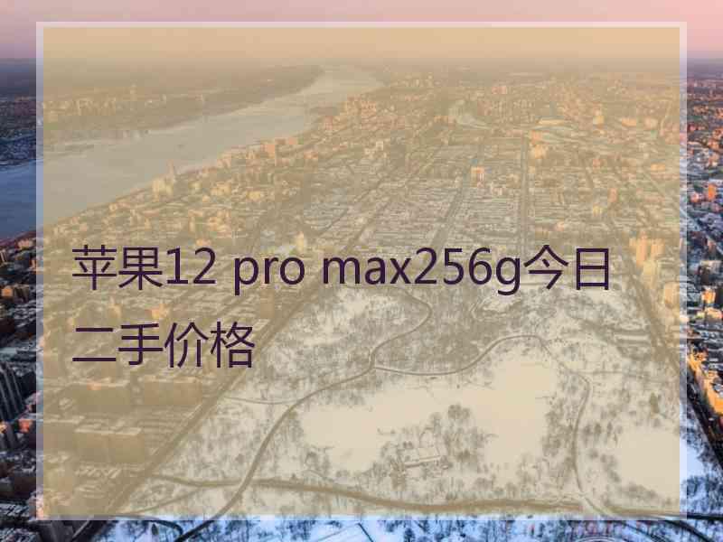 苹果12 pro max256g今日二手价格