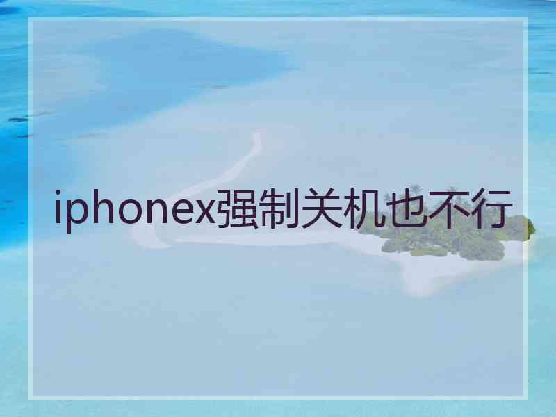 iphonex强制关机也不行