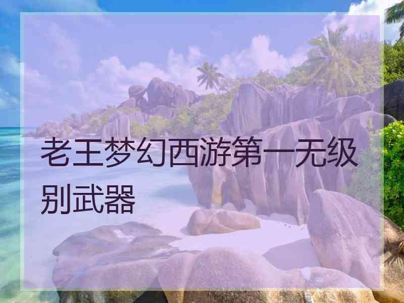 老王梦幻西游第一无级别武器