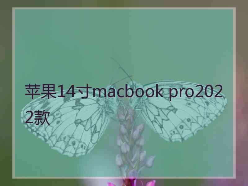 苹果14寸macbook pro2022款