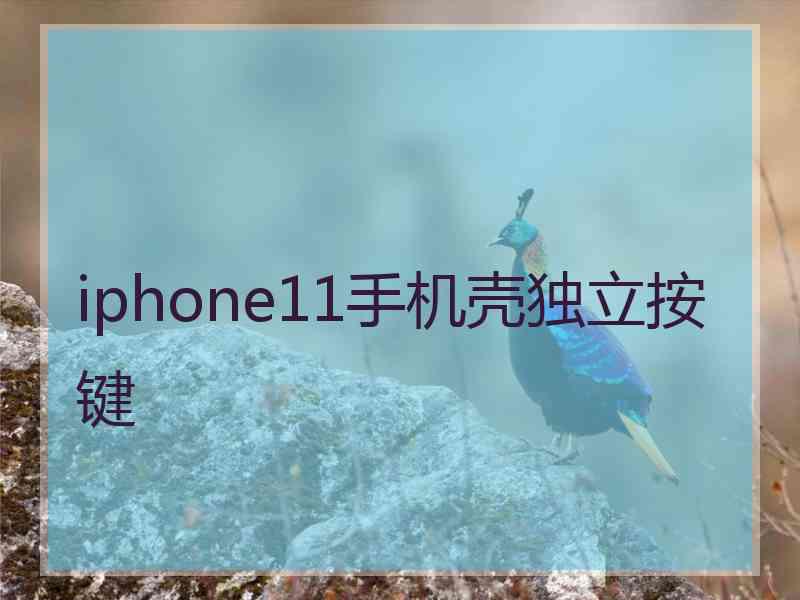 iphone11手机壳独立按键