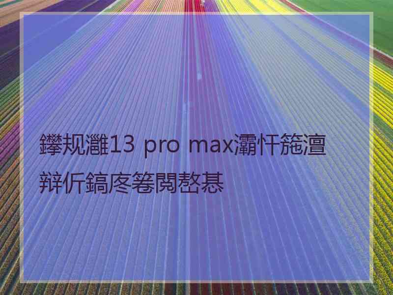 鑻规灉13 pro max灞忓箷澶辩伒鎬庝箞閲嶅惎