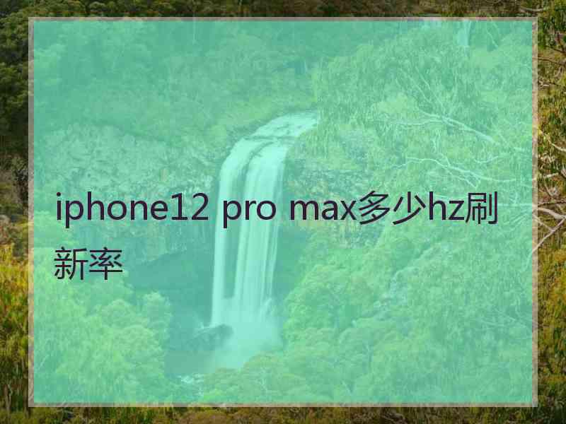 iphone12 pro max多少hz刷新率