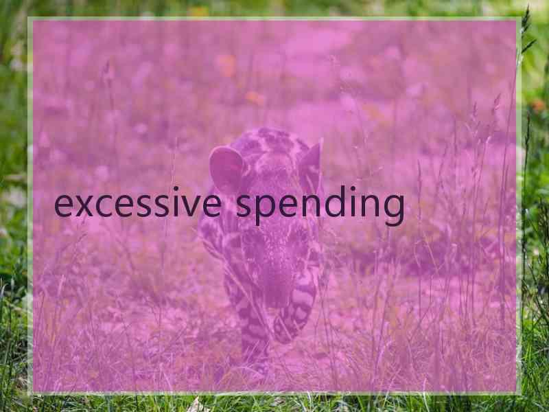 excessive spending