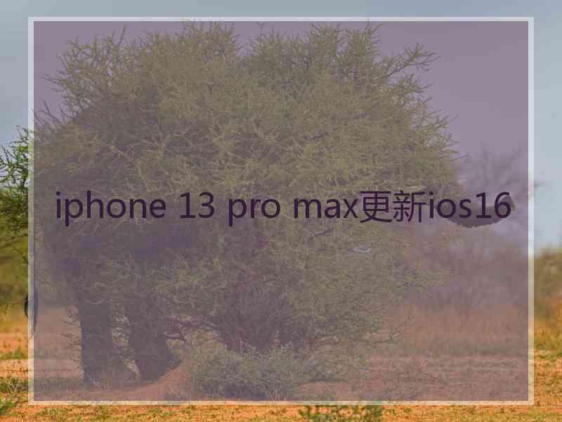 iphone 13 pro max更新ios16