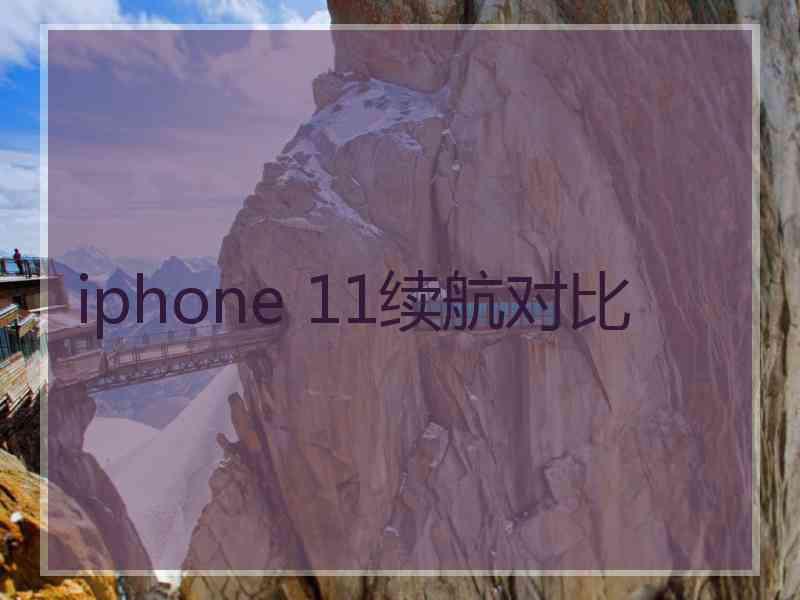 iphone 11续航对比