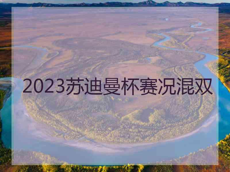 2023苏迪曼杯赛况混双