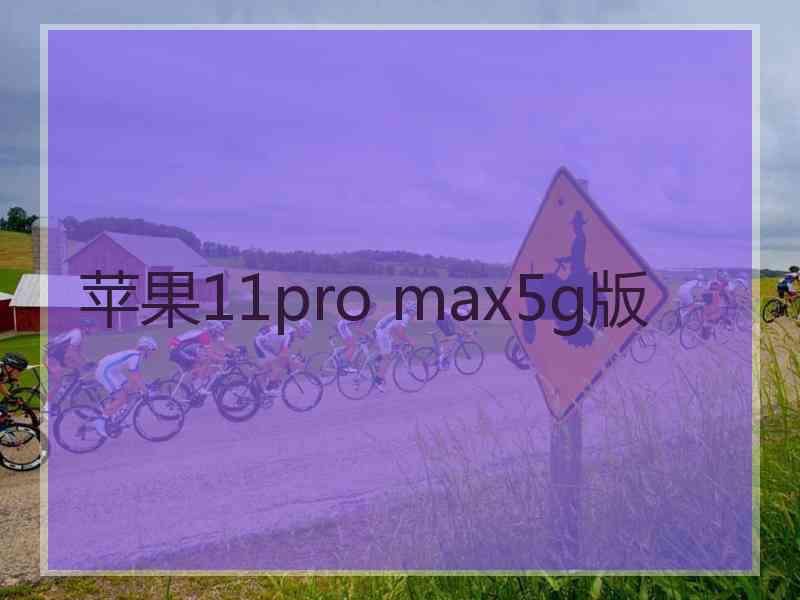 苹果11pro max5g版