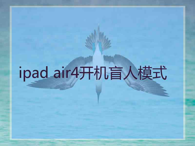 ipad air4开机盲人模式