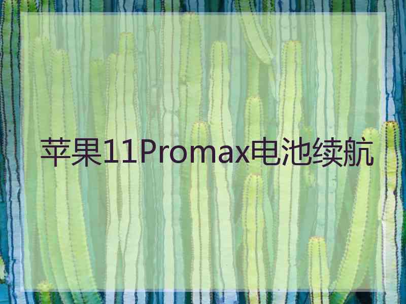 苹果11Promax电池续航