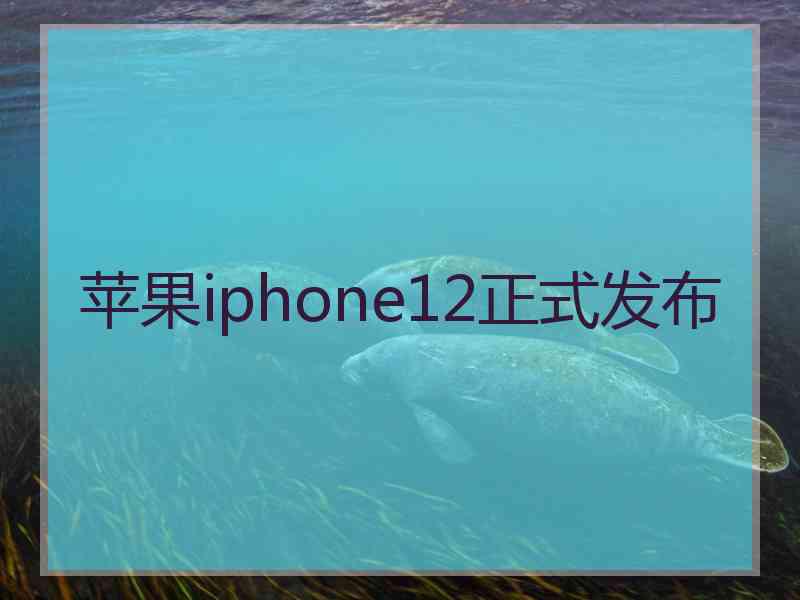 苹果iphone12正式发布