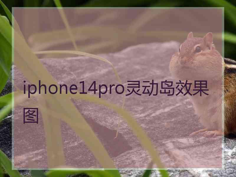 iphone14pro灵动岛效果图