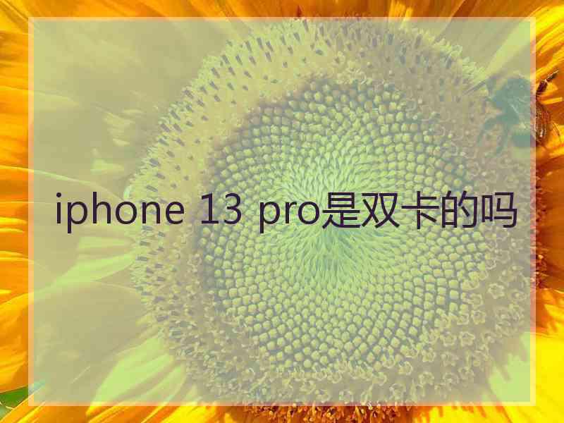 iphone 13 pro是双卡的吗