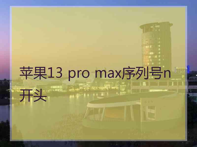 苹果13 pro max序列号n开头