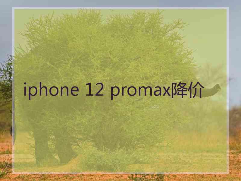 iphone 12 promax降价