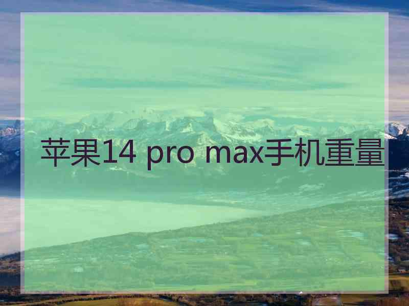 苹果14 pro max手机重量