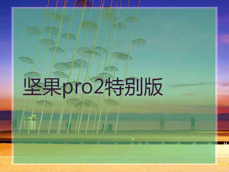 坚果pro2特别版