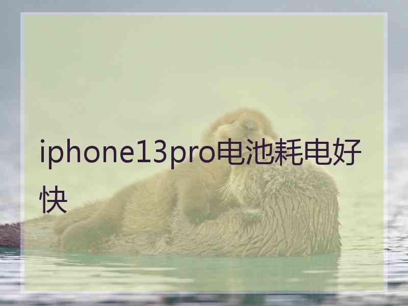 iphone13pro电池耗电好快