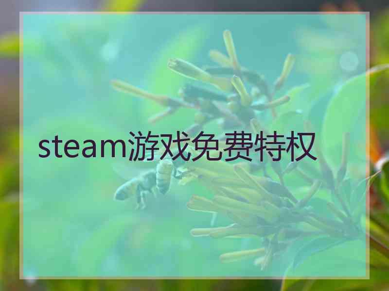 steam游戏免费特权