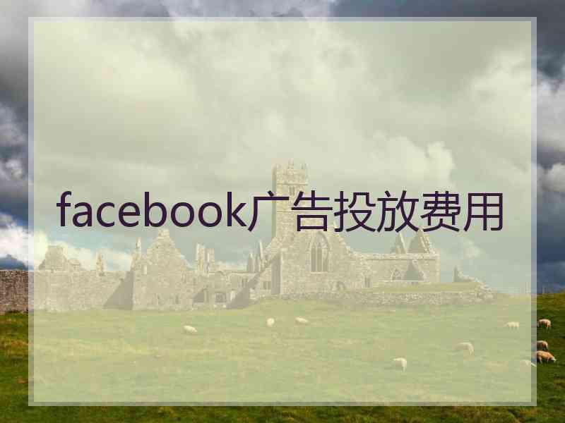 facebook广告投放费用