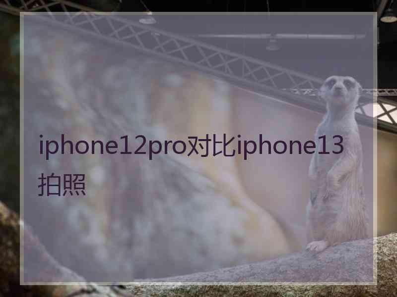 iphone12pro对比iphone13拍照