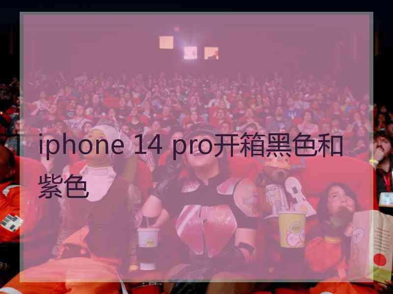 iphone 14 pro开箱黑色和紫色