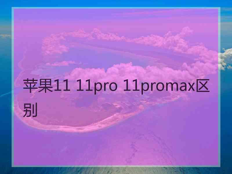 苹果11 11pro 11promax区别