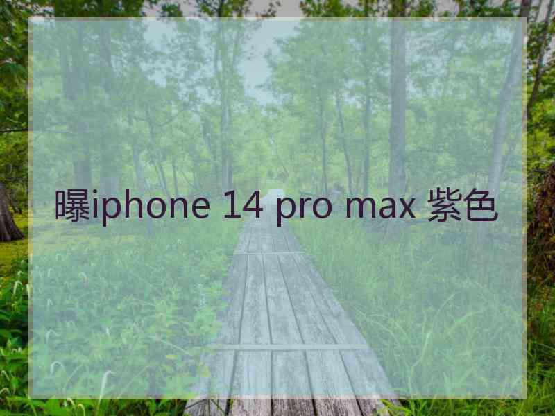 曝iphone 14 pro max 紫色