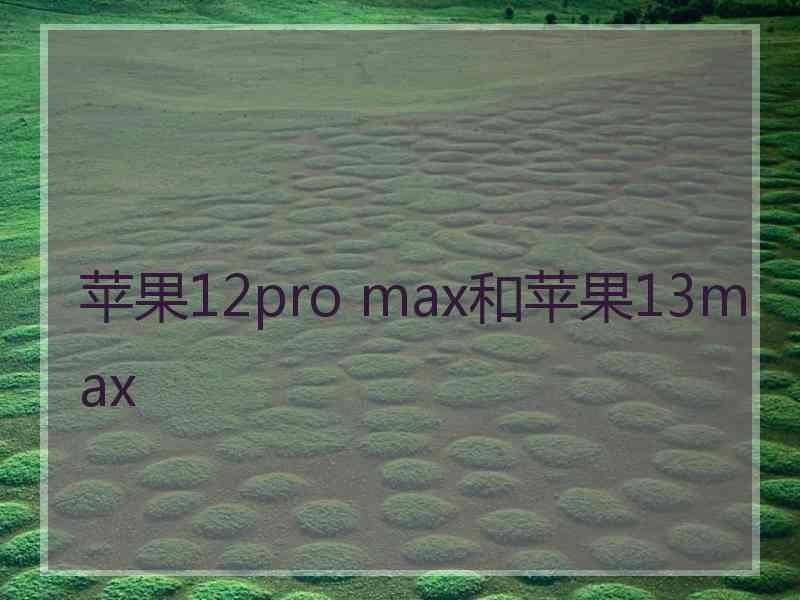 苹果12pro max和苹果13max