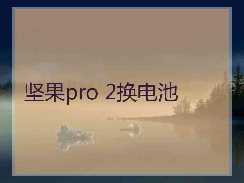 坚果pro 2换电池