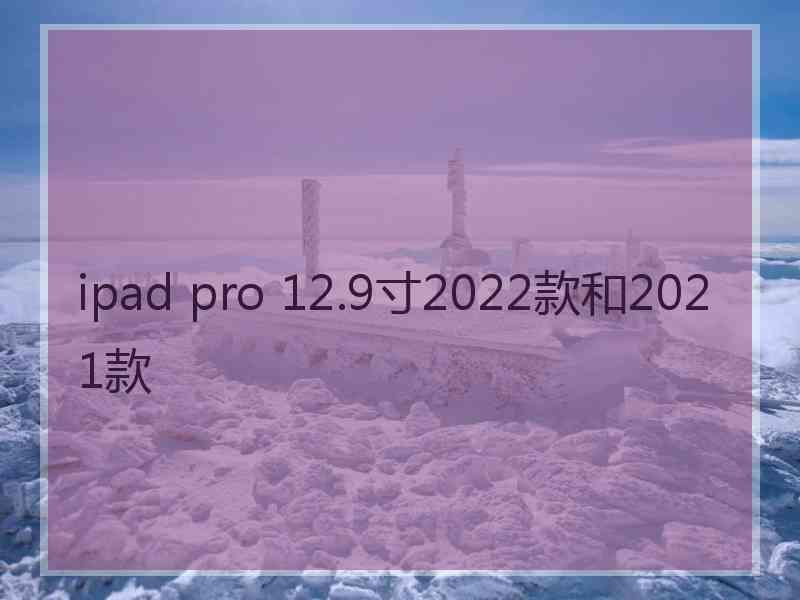 ipad pro 12.9寸2022款和2021款