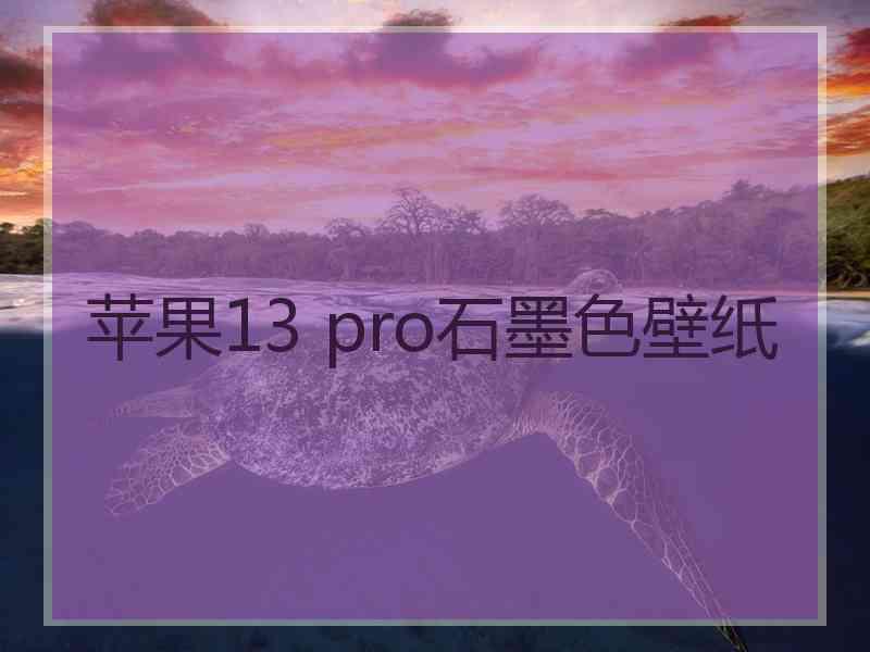 苹果13 pro石墨色壁纸