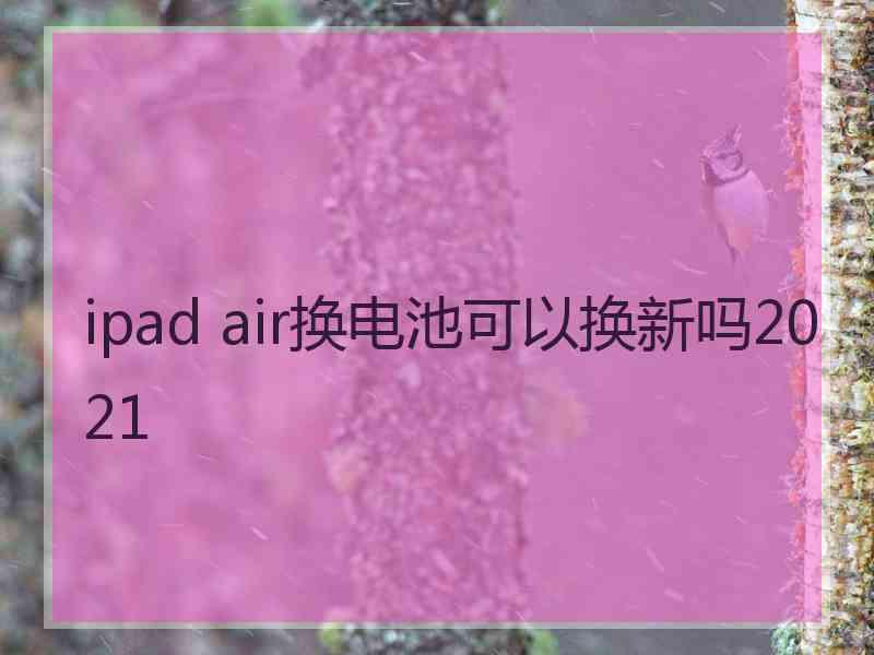 ipad air换电池可以换新吗2021