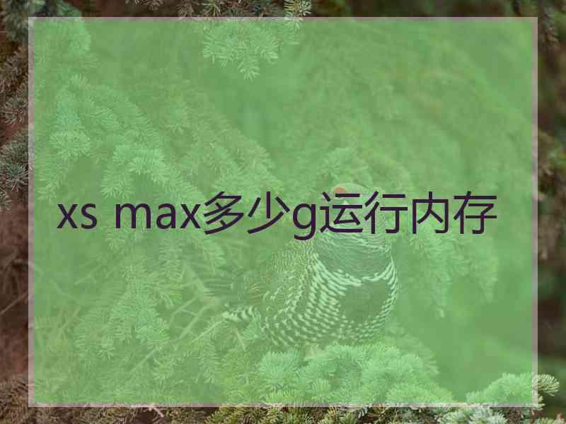 xs max多少g运行内存