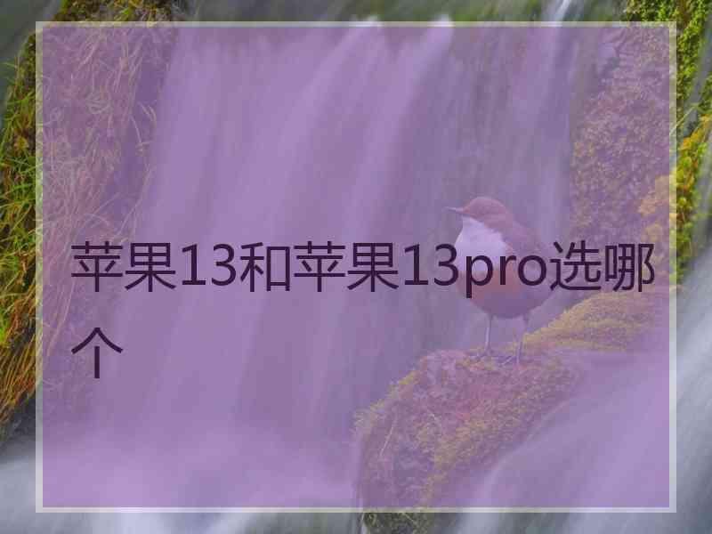 苹果13和苹果13pro选哪个