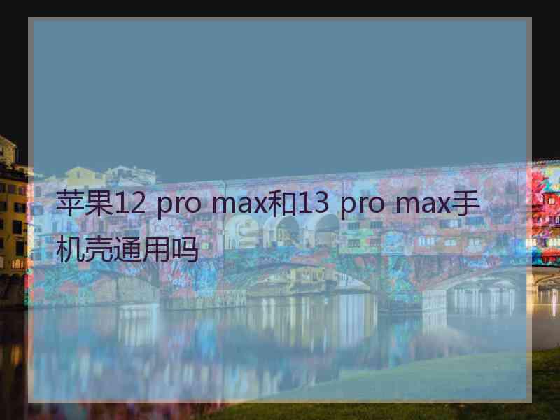 苹果12 pro max和13 pro max手机壳通用吗