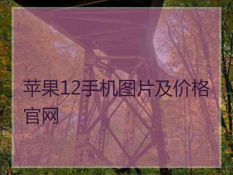 苹果12手机图片及价格官网